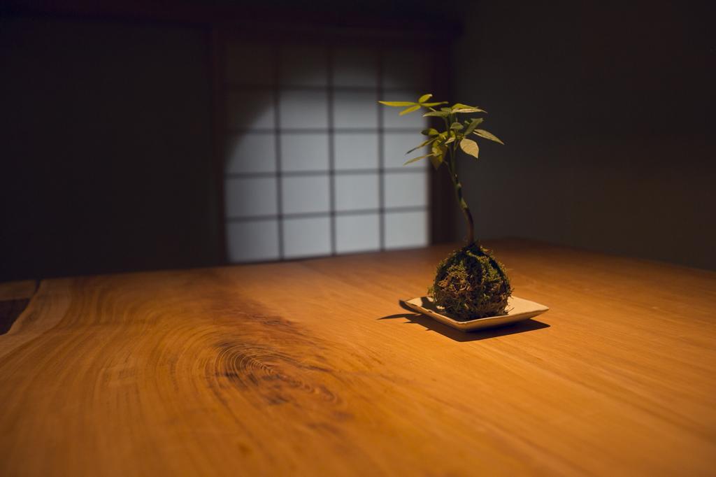 Ryokan Mokuzin Hakuba Dış mekan fotoğraf